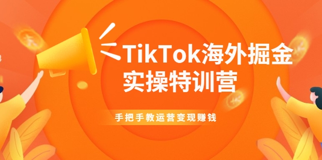 TikTok海外掘金实操特训营：手把手教运营变现赚钱-19点研学社