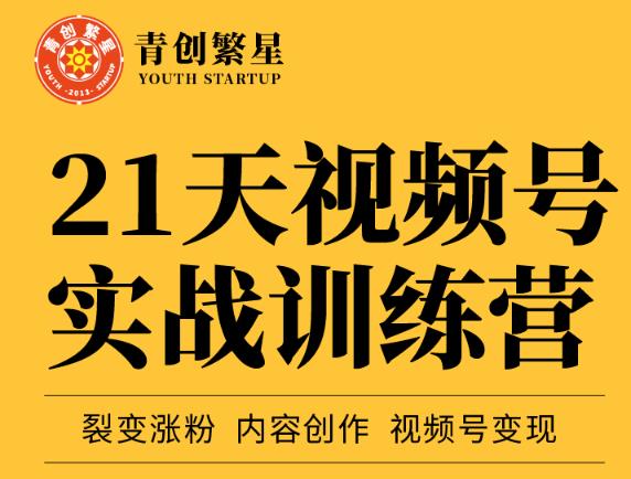 张萌21天视频号实战训练营，裂变涨粉、内容创作、视频号变现 价值298元-19点研学社