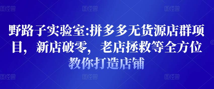 野路子实验室:拼多多无货源店群项目，新店破零，老店拯救等全方位教你打造店铺-19点研学社
