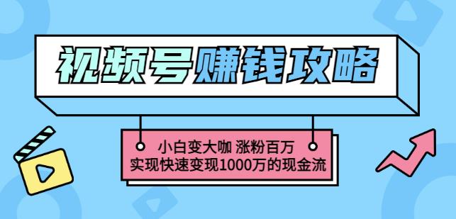 玩转微信视频号赚钱：小白变大咖涨粉百万实现快速变现1000万的现金流-19点研学社