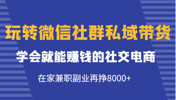 玩转微信社群私域带货，学会就能赚钱的社交电商，在家兼职副业再挣8000+-19点研学社