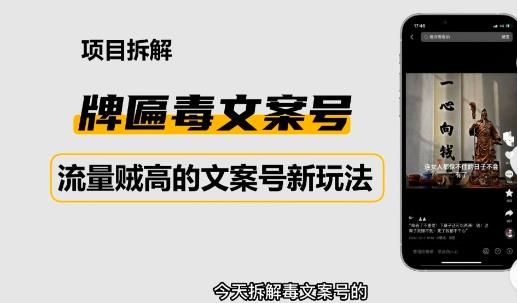 2023抖音快手毒文案新玩法，牌匾文案号，起号快易变现-19点研学社