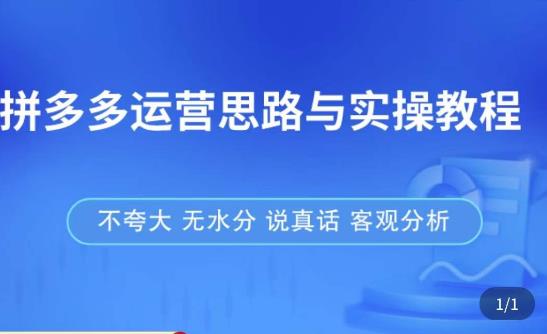 拼多多店铺运营思路与实操教程，快速学会拼多多开店和运营，少踩坑，多盈利-19点研学社