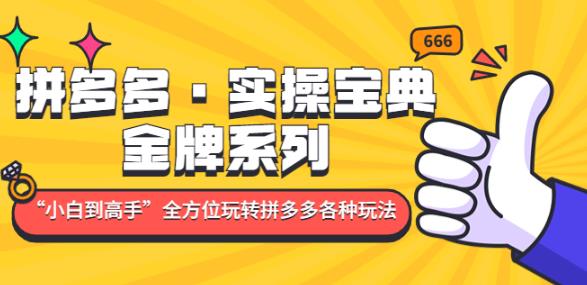 拼多多·实操宝典：金牌系列“小白到高手”带你全方位玩转拼多多各种玩法-19点研学社