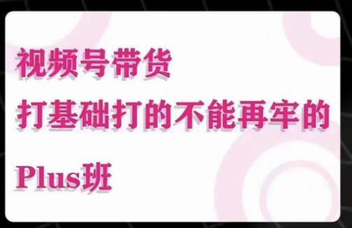 大播汇·视频号带货Puls班，视频号底层逻辑，起号自然流鱼塘等玩法-19点研学社