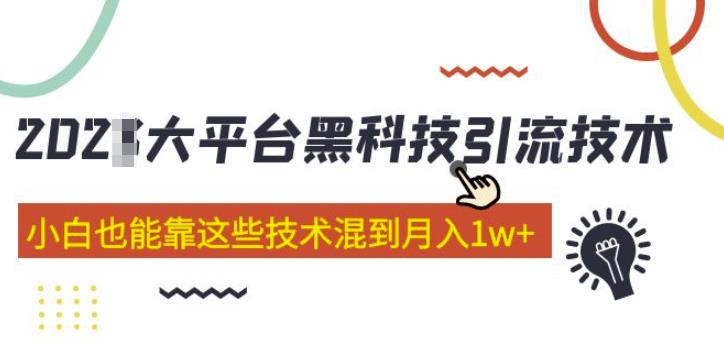 大平台黑科技引流技术，小白也能靠这些技术混到月入1w+(2022年的课程）-19点研学社