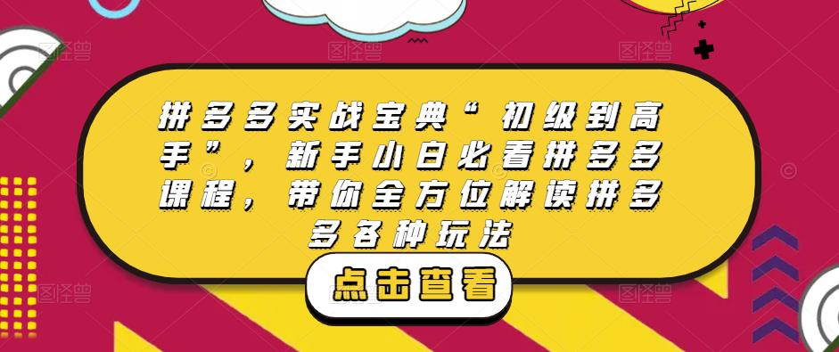 拼多多实战宝典“初级到高手”，新手小白必看拼多多课程，带你全方位解读拼多多各种玩法-19点研学社