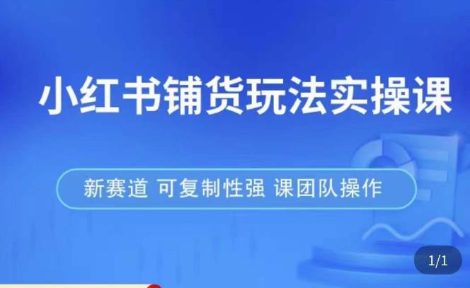 小红书铺货玩法实操课，流量大，竞争小，非常好做，新赛道，可复制性强，可团队操作-19点研学社