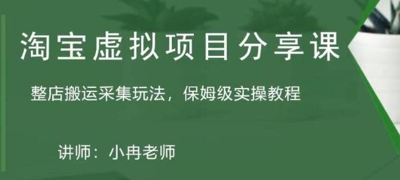 淘宝虚拟整店搬运采集玩法分享课：整店搬运采集玩法，保姆级实操教程-19点研学社