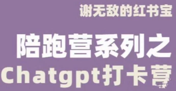 谢无敌ChatGPT打卡营，教你更好地使用ChatGPT来提高工作效率-19点研学社