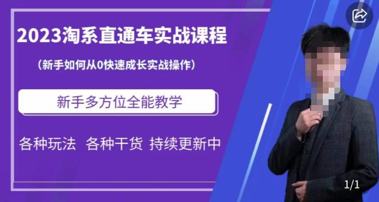 2023淘系直通车保姆式运营讲解，新手如何从0快速成长实战操作，新手多方位全能教学-19点研学社