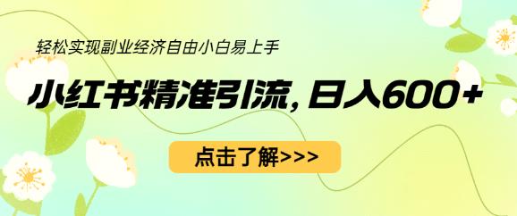 小红书精准引流，小白日入600+，轻松实现副业经济自由（教程+1153G资源）-19点研学社