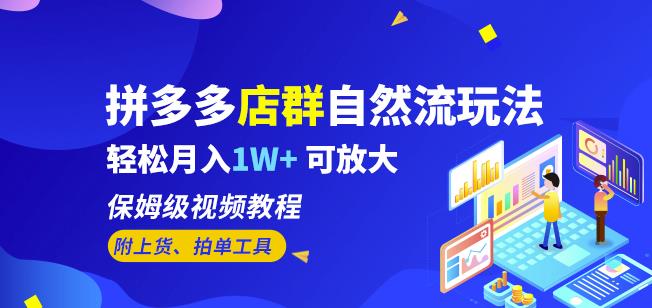 拼多多店群自然流玩法，轻松月入1W+保姆级视频教程（附上货、拍单工具）-19点研学社