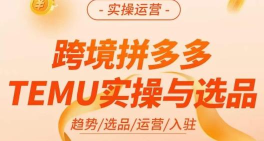 伍跃·跨境拼多多TEMU实操与选品，​趋势/选品/运营/入住（27节完整）-19点研学社