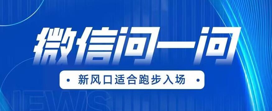全网首发微信问一问新风口变现项目（价值1999元）【揭秘】-19点研学社