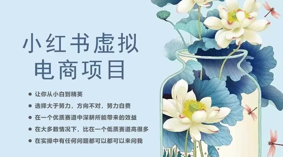 小红书虚拟电商从0到1，让你从小白到精英（20节实操课程）-19点研学社