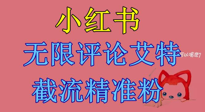 小红书无限评论艾特截流精准粉（软件+教程）-19点研学社