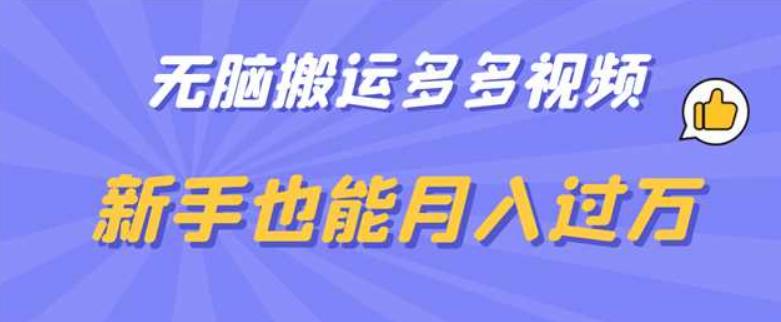 无脑搬运多多视频，新手也能月入过万【揭秘】-19点研学社