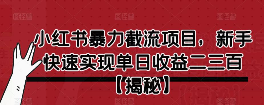 小红书暴力截流项目，新手快速实现单日收益二三百【仅揭秘】-19点研学社
