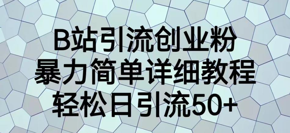 B站引流创业粉，暴力简单详细教程，轻松日引流50+【揭秘】-19点研学社