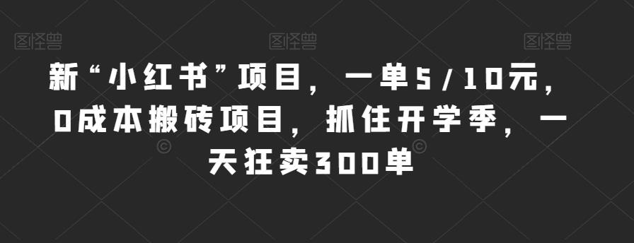 新“小红书”项目，一单5/10元，0成本搬砖项目，抓住开学季，一天狂卖300单【揭秘】-19点研学社
