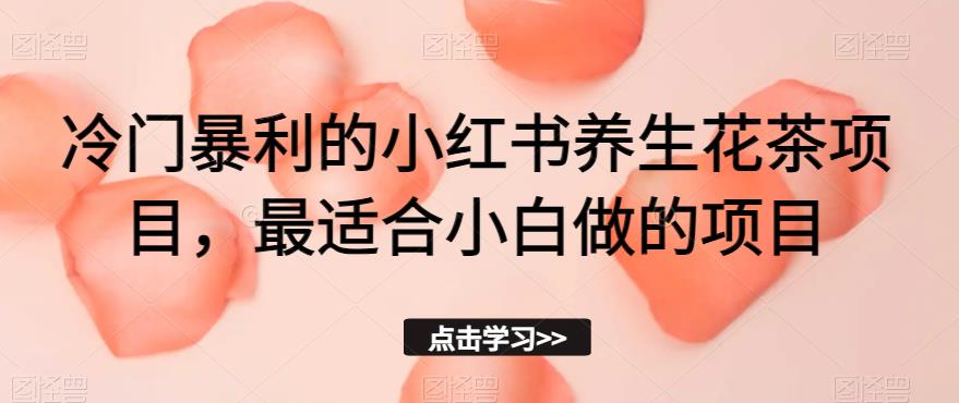 冷门暴利的小红书养生花茶项目，最适合小白做的项目【揭秘】-19点研学社