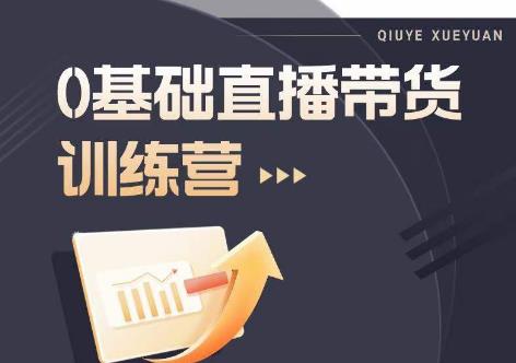 2023直播带货入门进阶运营实训课程，新手直播运营培训实操课-19点研学社