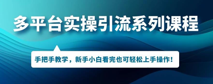 多平台引流实操系列课程，新手小白看完也可轻松上手进行引流操作-19点研学社