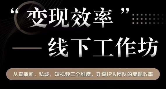 变现效率线下工作坊，从‮播直‬间、私域、‮视短‬频‮个三‬维度，升级IP和团队变现效率-19点研学社