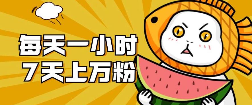 暴力涨粉项目：每天一小时，七天上万粉【揭秘】-19点研学社