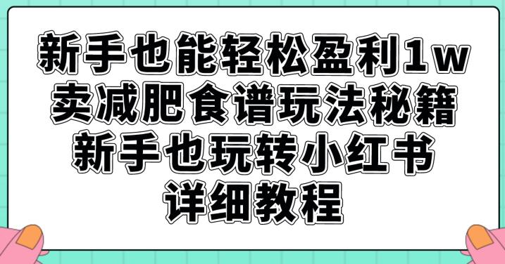 新手也能轻松盈利1w，卖减肥食谱玩法秘籍，新手也玩转小红书详细教程【揭秘】-19点研学社