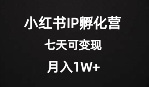 价值2000+的小红书IP孵化营项目，超级大蓝海，七天即可开始变现，稳定月入1W+-19点研学社
