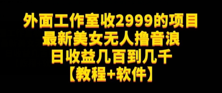 外面工作室收2999的项目最新美女无人撸音浪日收益几百到几千【教程+软件】（仅揭秘）-19点研学社