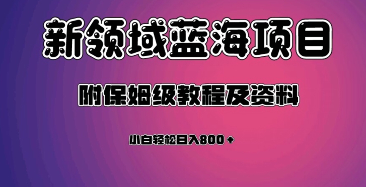 虚拟资源蓝海领域新项目，轻松日入800＋，附保姆级教程及资料-19点研学社