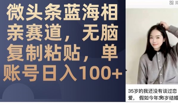微头条蓝海相亲赛道，无脑复制粘贴，单账号日入100+-19点研学社