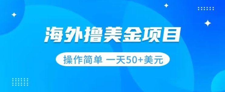 撸美金项目无门槛操作简单小白一天50+美刀-19点研学社