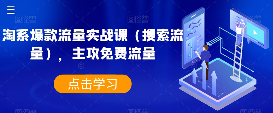 淘系爆款流量实战课（搜索流量），主攻免费流量-19点研学社