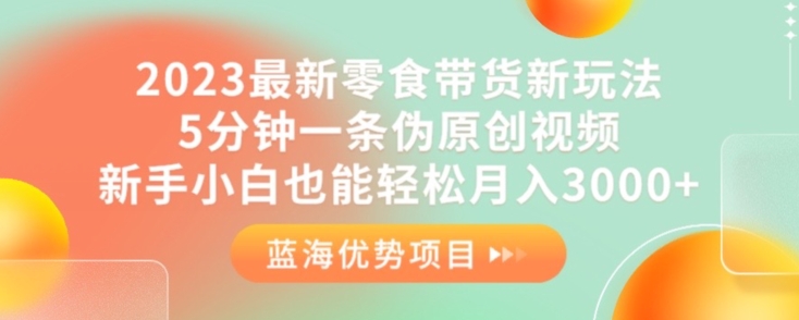 2023最新零食带货新玩法，5分钟一条伪原创视频，新手小白也能轻松月入3000+【揭秘】-19点研学社