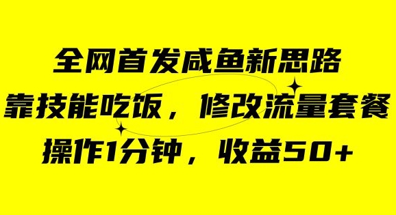咸鱼冷门新玩法，靠“技能吃饭”，修改流量套餐，操作1分钟，收益50【揭秘】-19点研学社