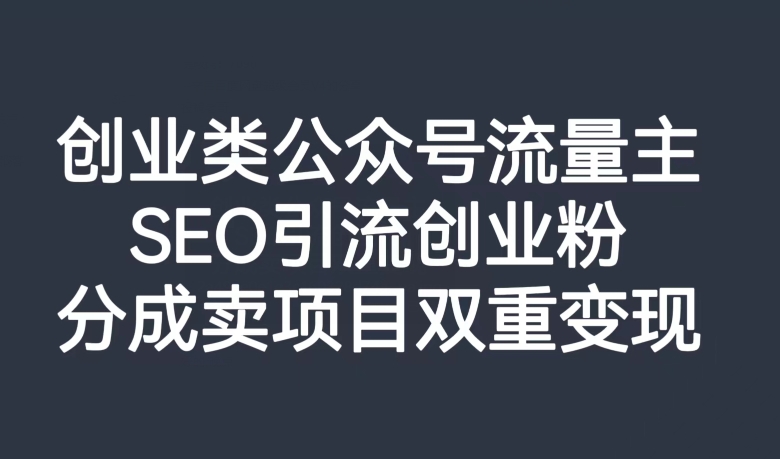 创业类公众号流量主，SEO引流创业粉，分成卖项目双重变现【揭秘】-19点研学社