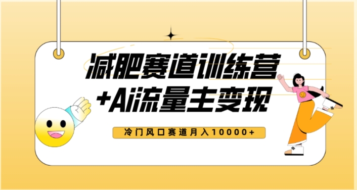 全新减肥赛道AI流量主+训练营变现玩法教程，蓝海冷门赛道小白轻松上手，月入10000+-19点研学社