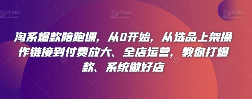 淘系爆款陪跑课，从0开始，从选品上架操作链接到付费放大、全店运营，教你打爆款、系统做好店-19点研学社