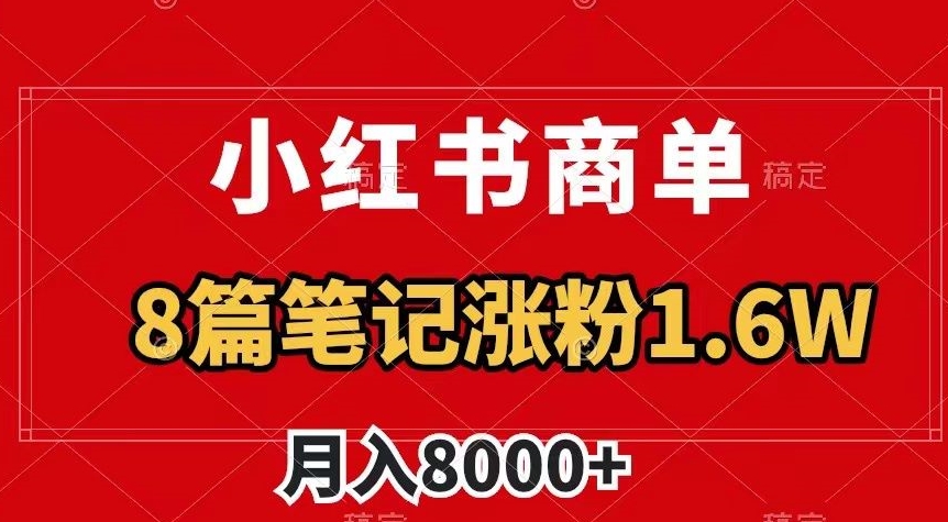 小红书商单最新玩法，8篇笔记涨粉1.6w，作品制作简单，月入8000+【揭秘】-19点研学社