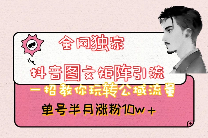 全网独家抖音图文矩阵引流，一招教你玩转公域流量，单号半月涨粉10w+【揭秘】-19点研学社