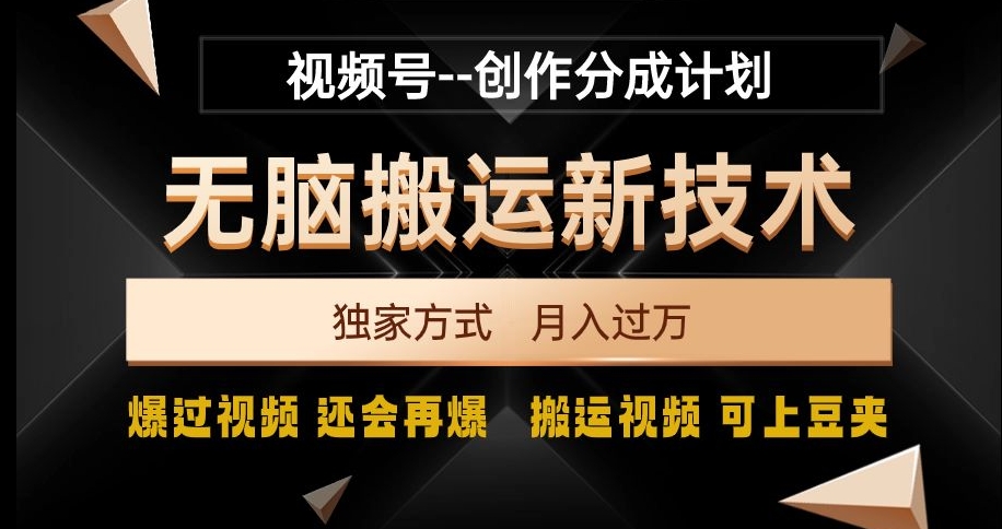 视频号无脑搬运新技术，破原创壕流量，独家方式，爆过视频，还会再爆【揭秘】-19点研学社