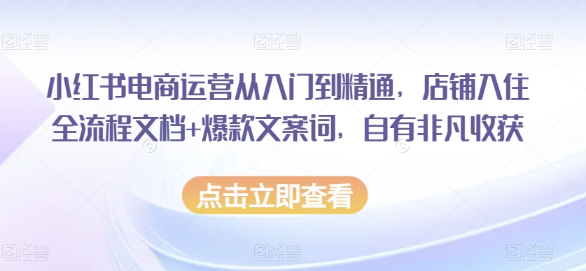 小红书电商运营从入门到精通，店铺入住全流程文档+爆款文案词，自有非凡收获-19点研学社