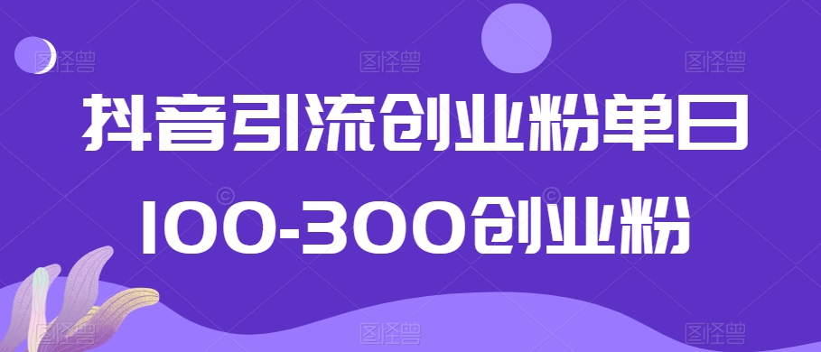 抖音引流创业粉单日100-300创业粉【揭秘】-19点研学社