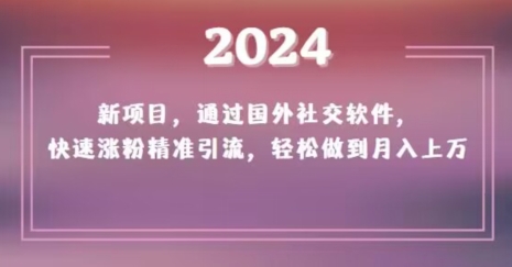 2024新项目，通过国外社交软件，快速涨粉精准引流，轻松做到月入上万【揭秘】-19点研学社