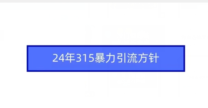 24年315暴力引流方针-19点研学社
