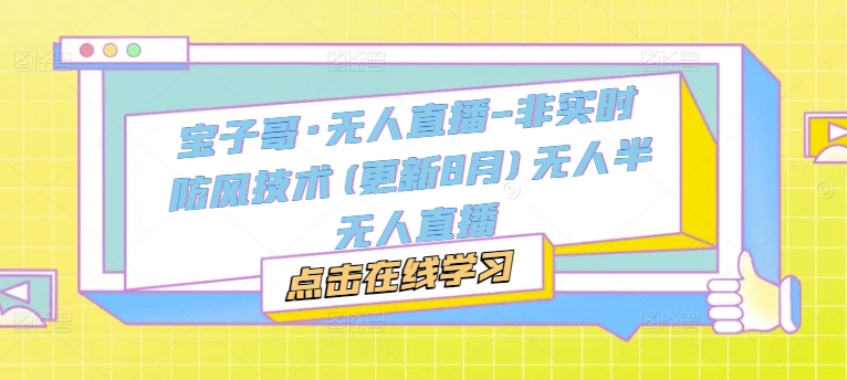 宝子哥·无人直播-非实时防风技术(更新8月)无人半无人直播-19点研学社